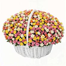 Премиум букет из: Розы в Новоенисейске