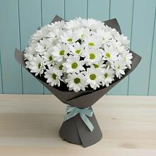 Букет цветов из:  Хризантемы #REPLACE_PRED# Новоенисейске