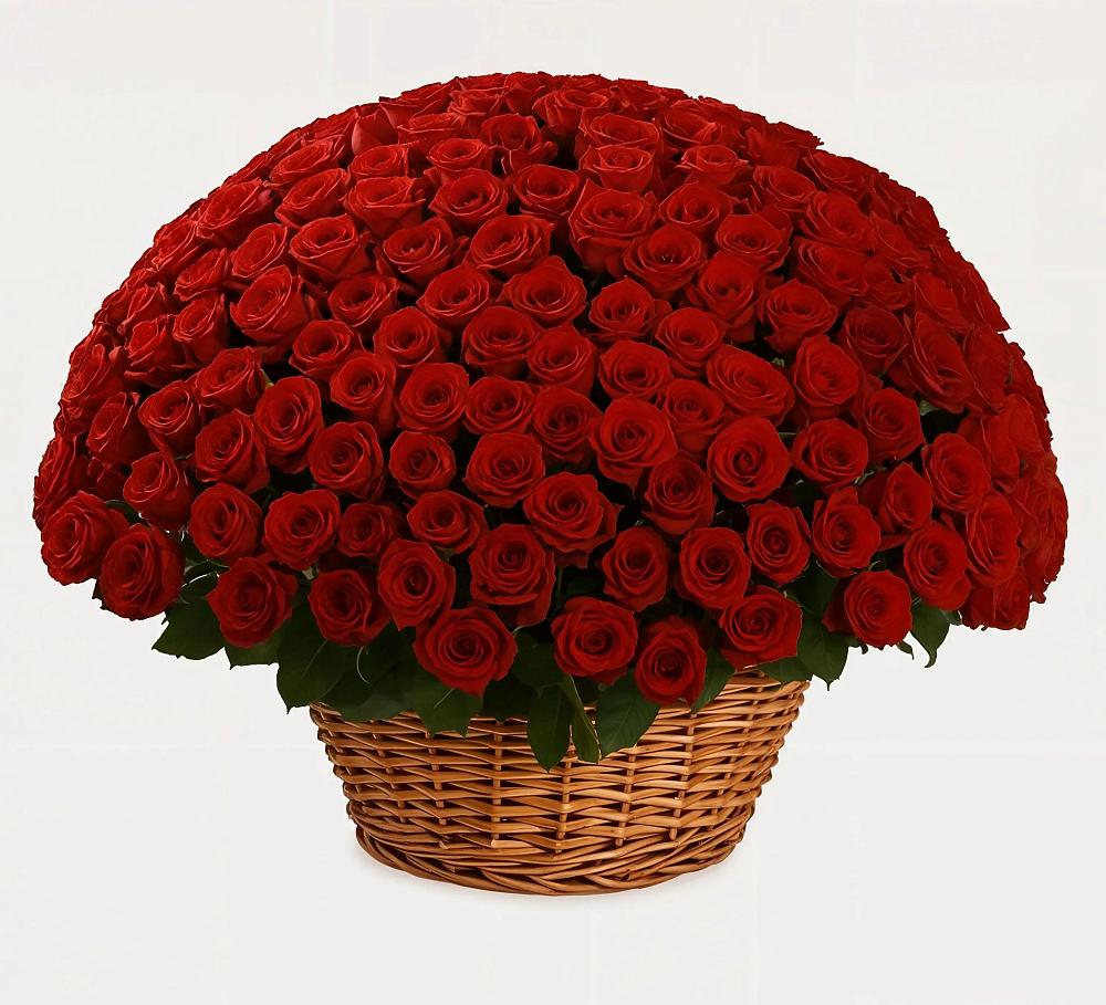 Премиум букет из: Розы в Новоенисейске