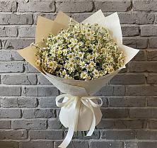 Букет цветов из:  Ромашки в Новоенисейске