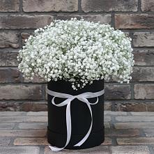 Цветочная композиция из Гипсофила в шляпной коробке в Новоенисейске