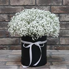 Цветочная композиция из Гипсофила в шляпной коробке в Новоенисейске